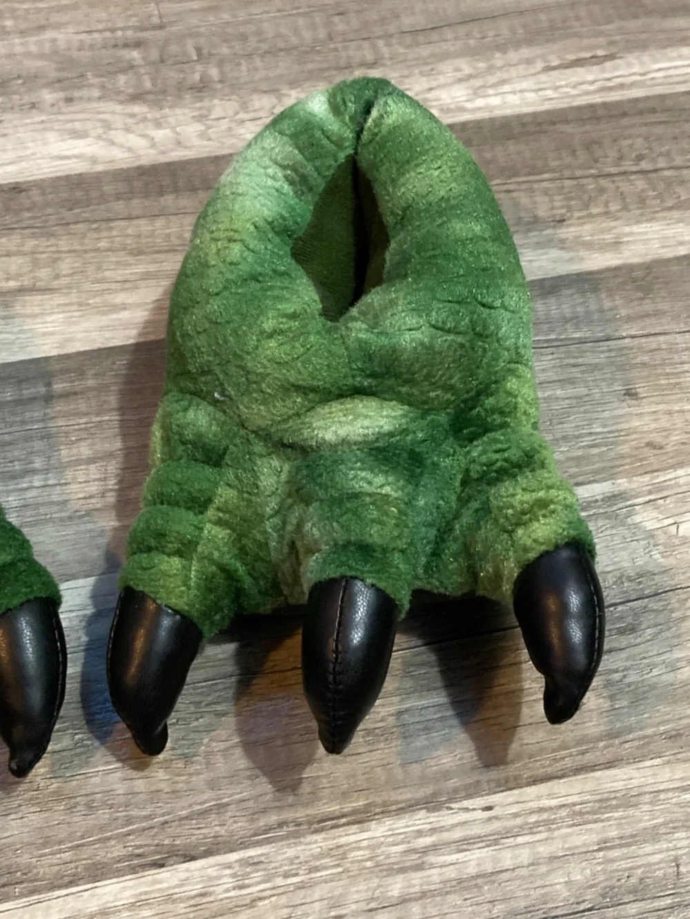 Dino slippers